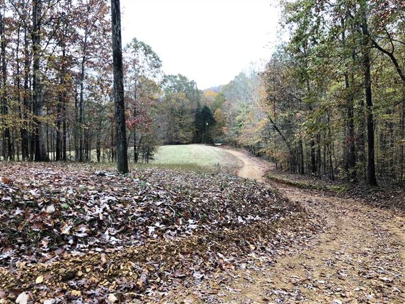 Income Producing Timber/Recreation : Westpoint : Lawrence County : Tennessee