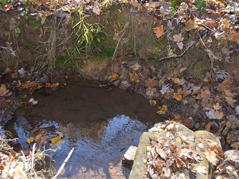 59 Surveyed Acres Multiple Parcels : Sneedville : Hancock County : Tennessee