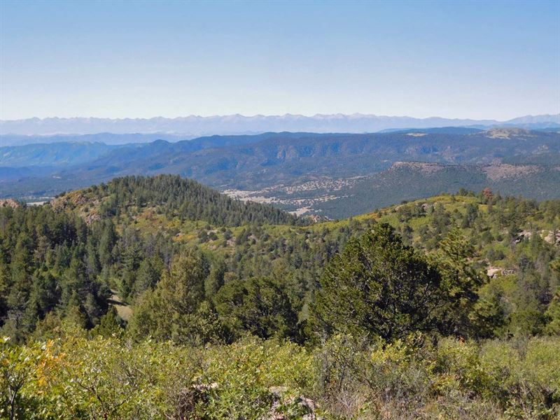 20 Acre Getaway Borders Government : Cripple Creek : Teller County : Colorado