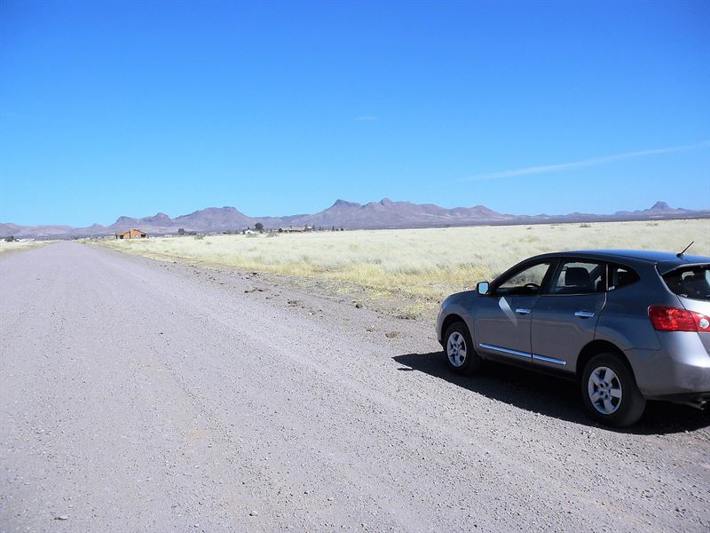 Super Nice Large Buildable Lot : Douglas : Cochise County : Arizona