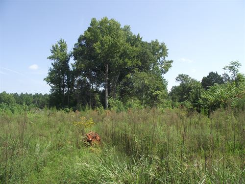 Virginia Country Estates : Kenbridge : Lunenburg County : Virginia