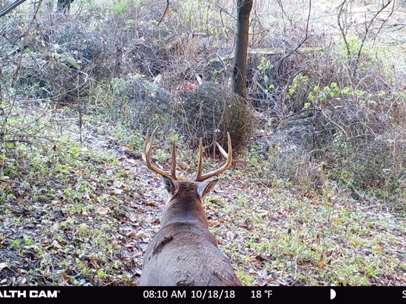 Monumental Deer Hunting Land : Richland Center : Richland County : Wisconsin