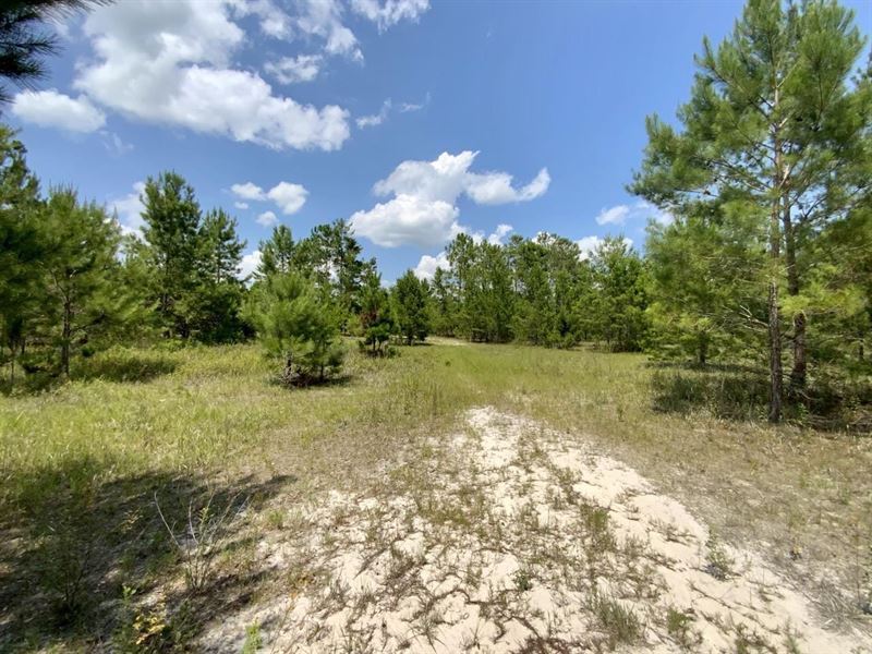 Hammerly St Lot 18 : Lee : Madison County : Florida