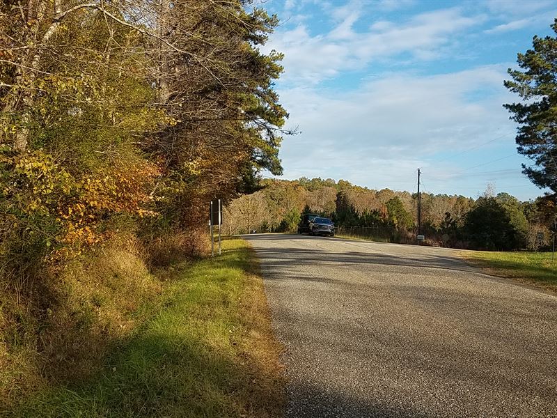 35+/ Acres Timberland Land for Sale in Heflin, Cleburne County
