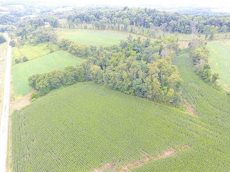 Bower Rd, 77 Acres : Scio : Harrison County : Ohio