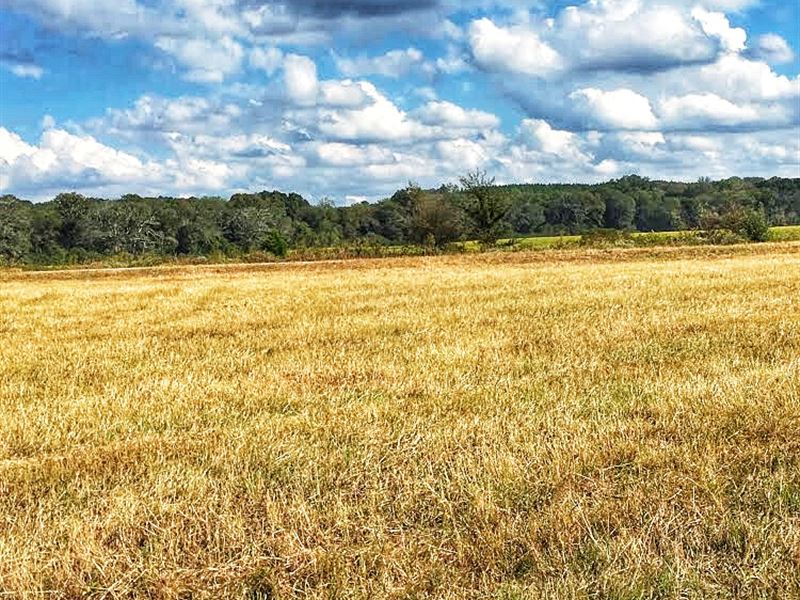 Price Reduced Ward Road Farm : Watkinsville : Greene County : Georgia