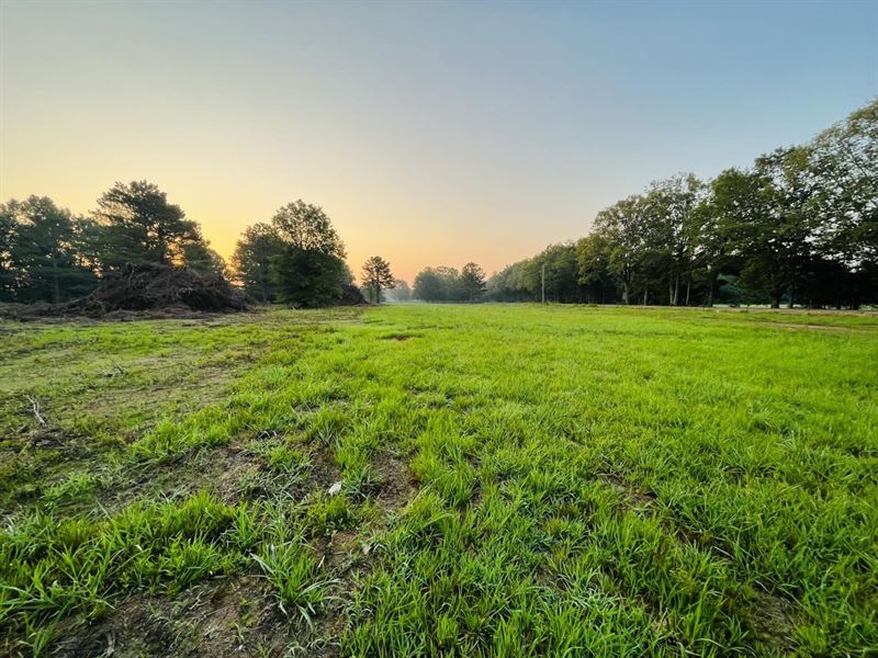 Lowndes Thurston Woods Subdivision : Columbus : Lowndes County : Mississippi