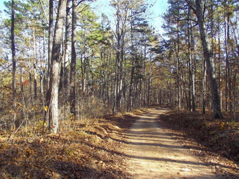 Land in National Forrest for Sale : Alton : Oregon County : Missouri