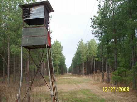 Hunting Club On Cut-off Creek Wma : Dermott : Ashley County : Arkansas