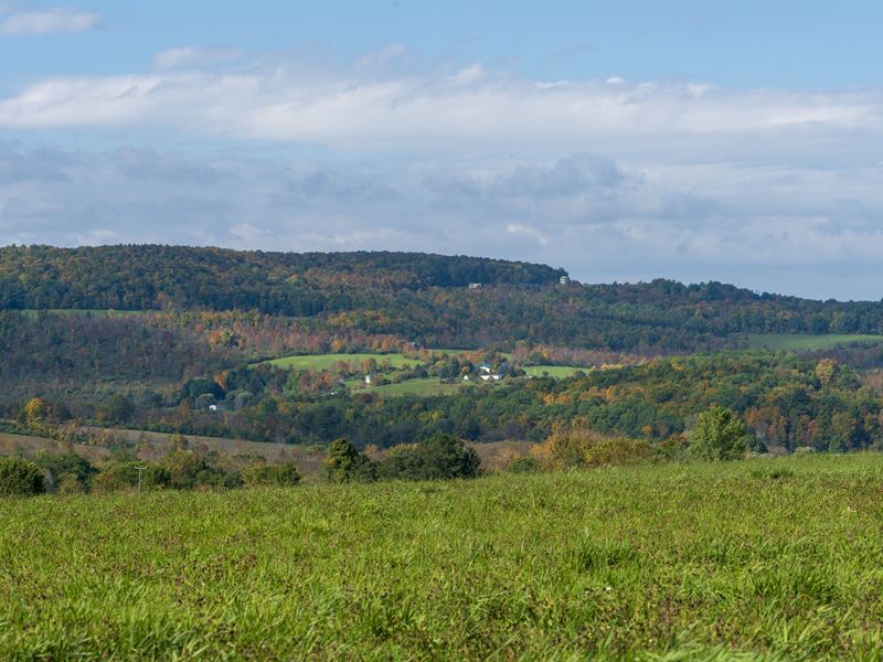 Land In Upstate New York For Sale