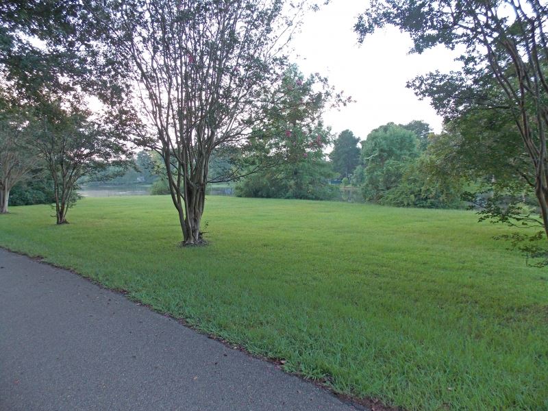 Cedar Ridge Lot 2 : McComb : Pike County : Mississippi