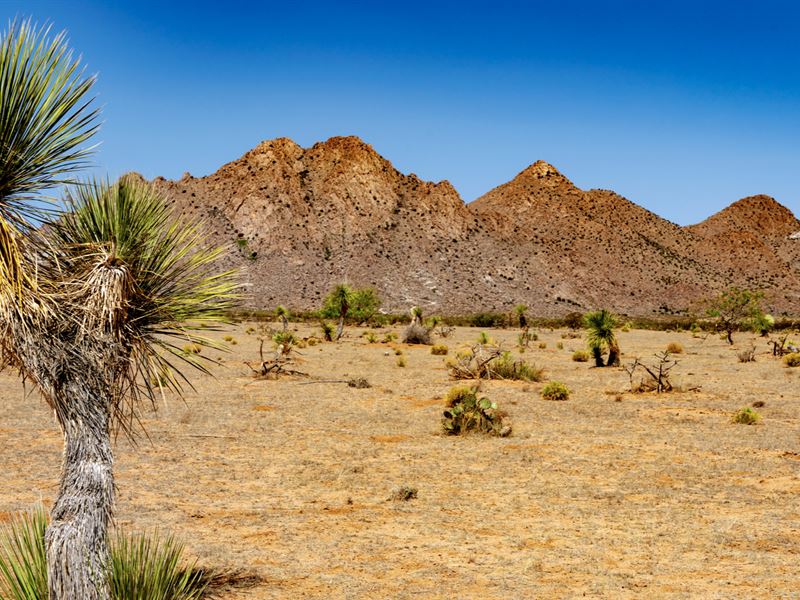 Homesite At Base Of Mountains : Deming : Luna County : New Mexico