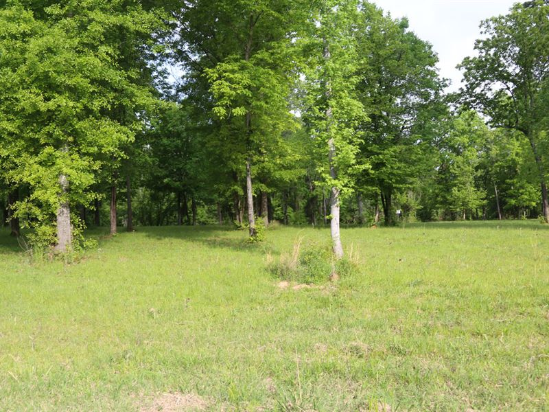 Alabama River, Fishermans Bay Lot Land for Sale in Lowndesboro