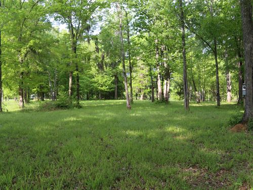 Alabama River, Fishermans Bay Lot : Lowndesboro : Lowndes County : Alabama