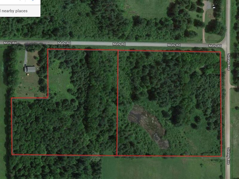 Wooded Land with Electric and Well : Neillsville : Clark County : Wisconsin