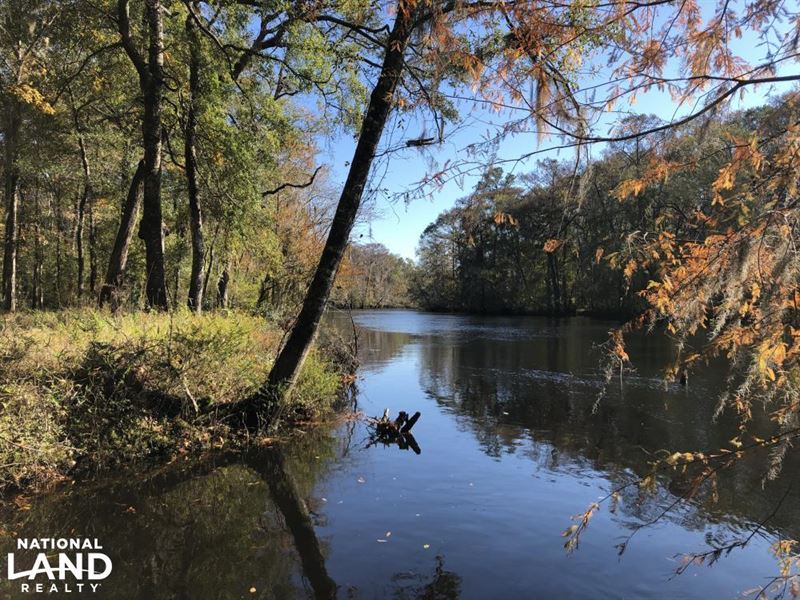 Combahee River Hunting & Recreation Land for Sale in Yemassee