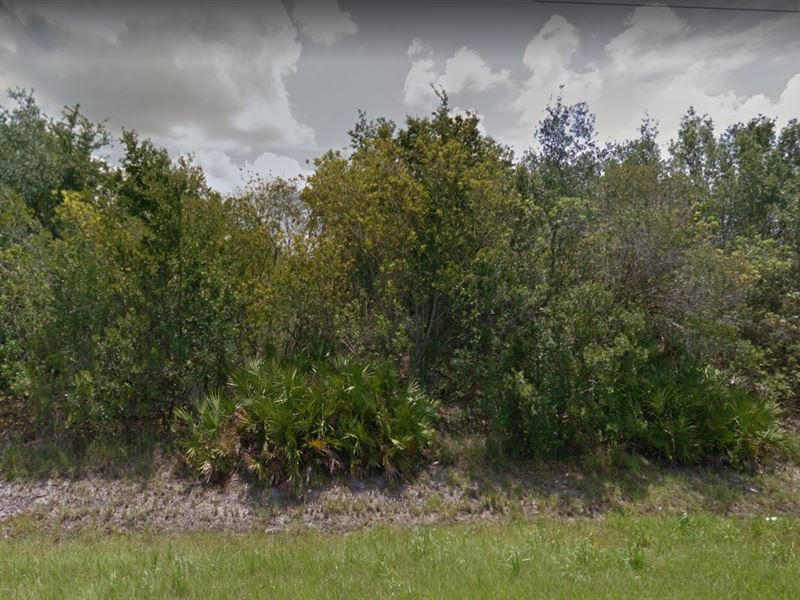 Manatee County, Fl $140,000 : Myakka City : Manatee County : Florida