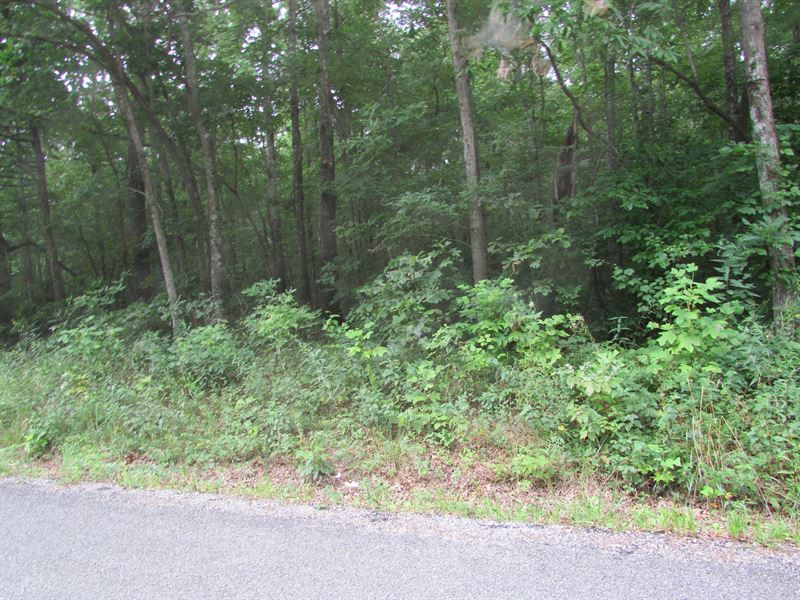 Great Place To Build Dream Home : Altamont : Grundy County : Tennessee