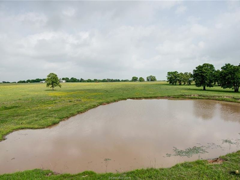 17433 Osr, Midway 75852 : Midway : Madison County : Texas