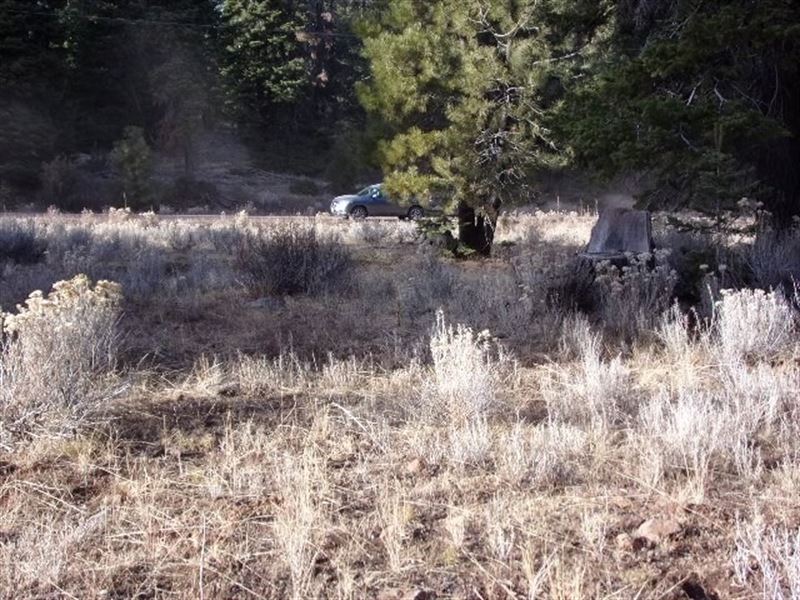.91 Acres Well, Electricity, Septic : Alturas : Modoc County : California