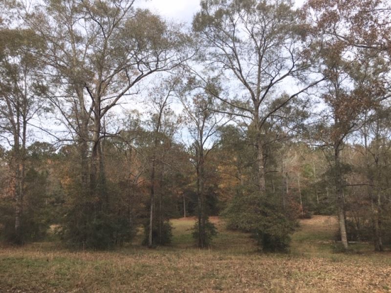 Beautiful 4 Acre Homesite : McComb : Pike County : Mississippi