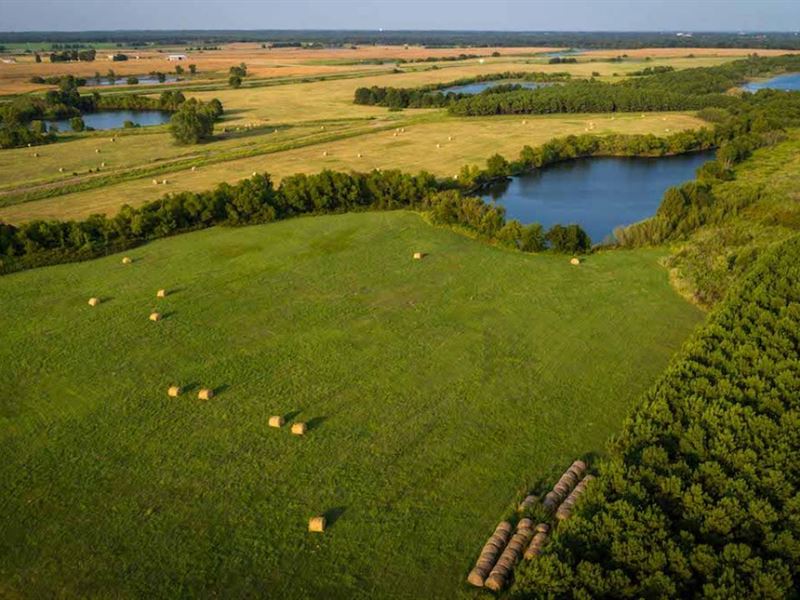 Dragoo Creek Ranch : Mount Pleasant : Titus County : Texas