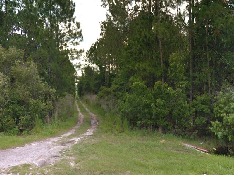 Over 1 Acre Zoned Agricultural : Palatka : Putnam County : Florida