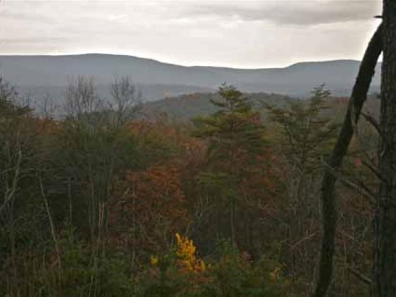 32.54 Acres Stunning Mountain View : Bloomery : Hampshire County : West Virginia
