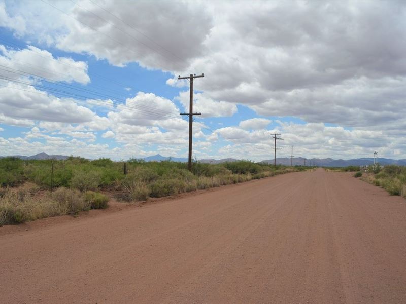 Prime Land, Paved, Power, $364 P/Mo : Douglas : Cochise County : Arizona