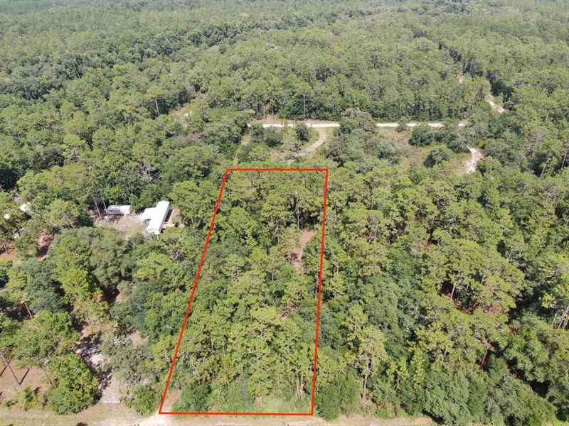Beautiful One Acre Lot with A Well : Lee : Madison County : Florida
