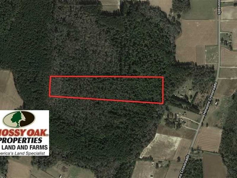 Reduced, 17.62 Acres of Timber : Fair Bluff : Columbus County : North Carolina