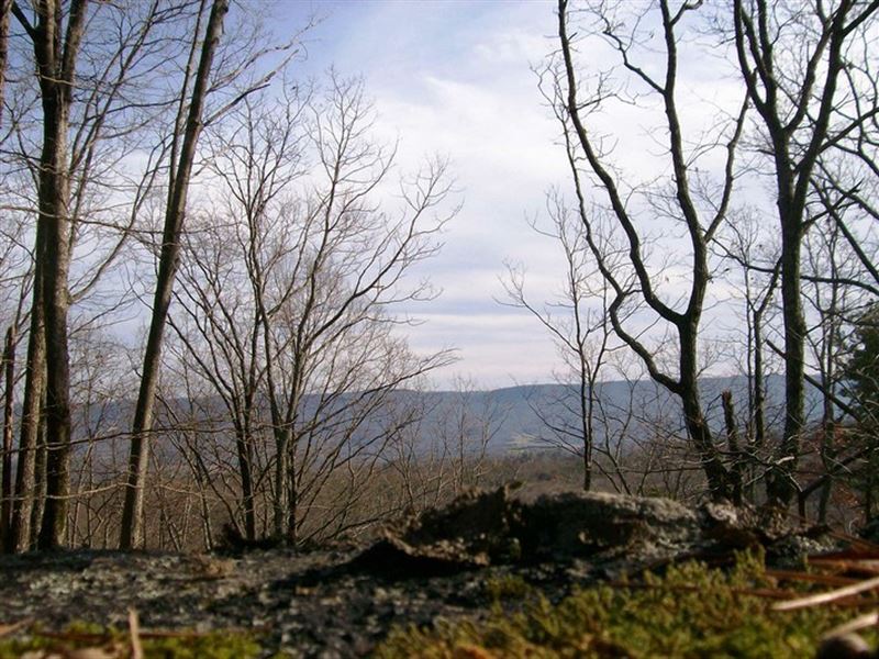Scenic Bluff Lot for Sale : Pikeville : Bledsoe County : Tennessee