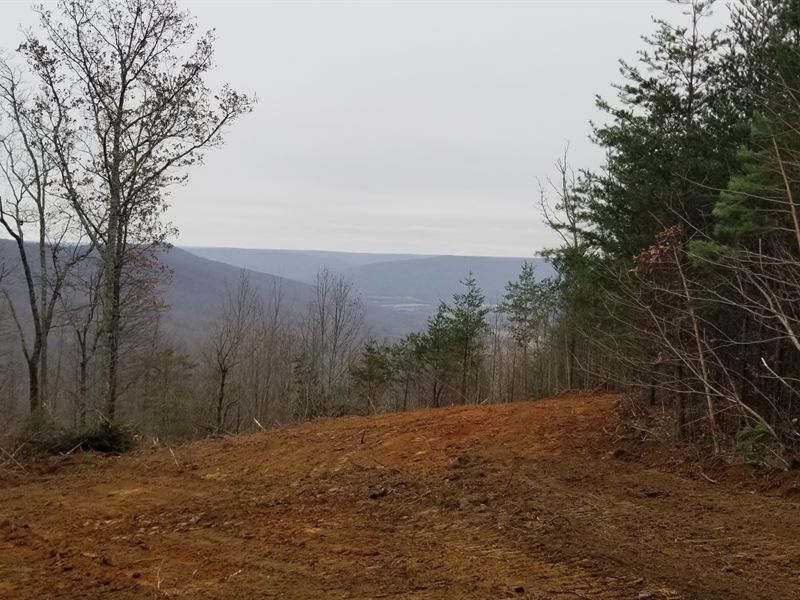133.8+/- Acres Beautiful Views : South Pittsburg : Marion County : Tennessee