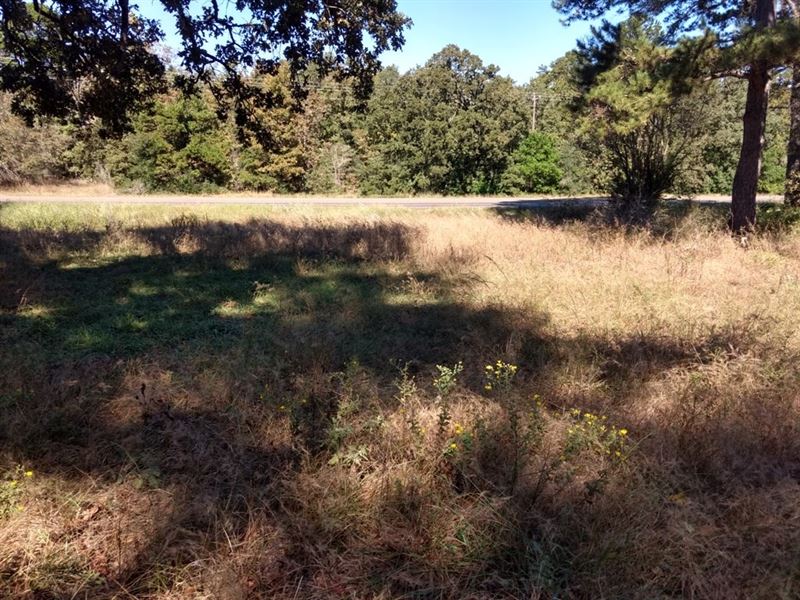 East Texas Piney Woods Land For Sale / Texas Timber Land For Sale