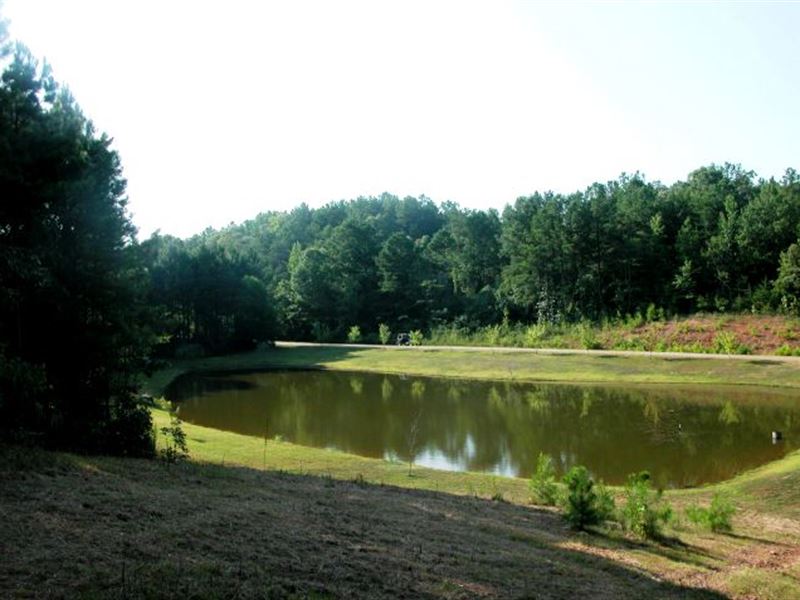 27 Acres with 2 Acre Stocked Lake, Land for Sale in Alabama, 184668