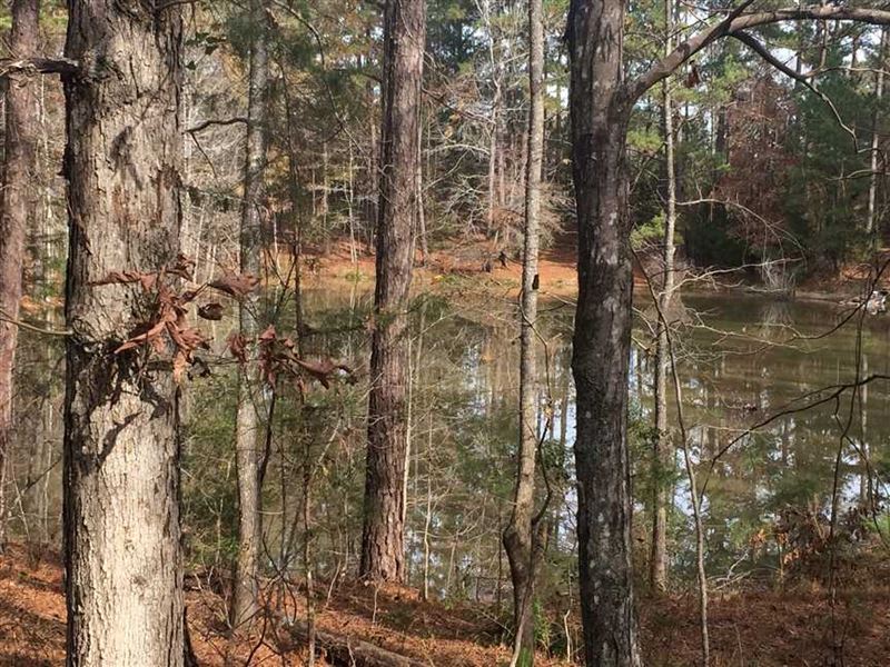 Great Timber and Hunting Tract : Talbotton : Talbot County : Georgia