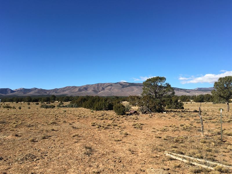 Manzano Mountain Home Acreage : Estancia : Torrance County : New Mexico