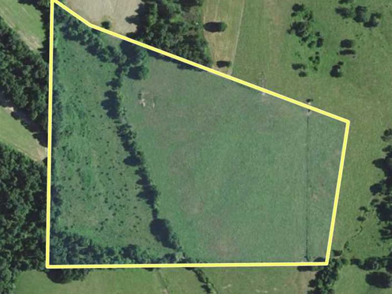 34 Acres Ready for Country Living : Sedgewickville : Bollinger County : Missouri