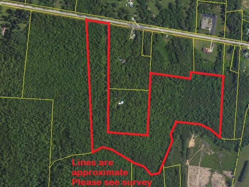 Over 1200 Feet of Road Frontage : Altamont : Grundy County : Tennessee