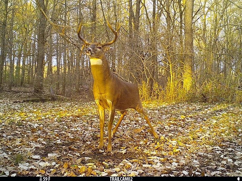 Outstanding Recreational On River : Spring Green : Iowa County : Wisconsin