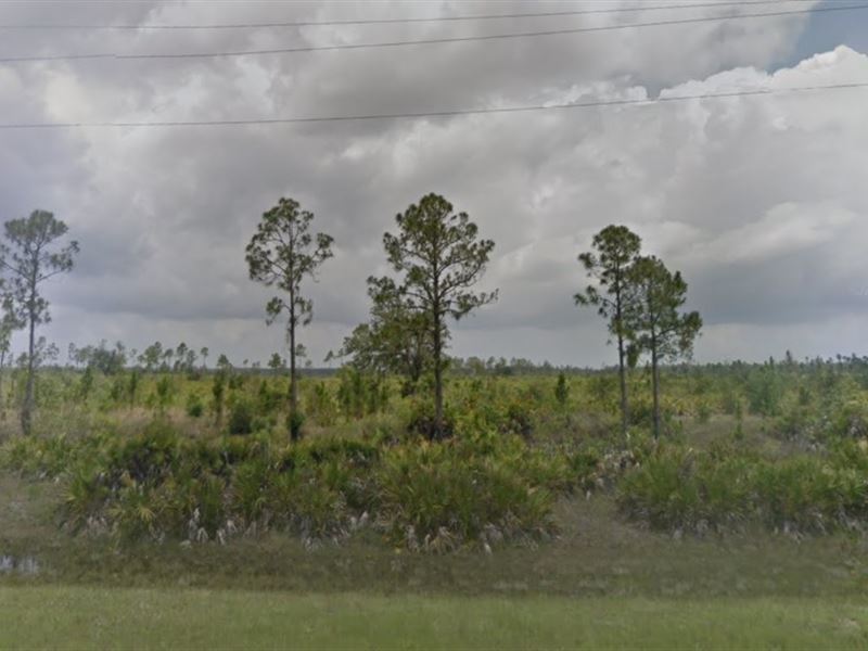 Polk Co, Fl .50 Ac, 35K Neg : Indian Lake Estates : Polk County : Florida