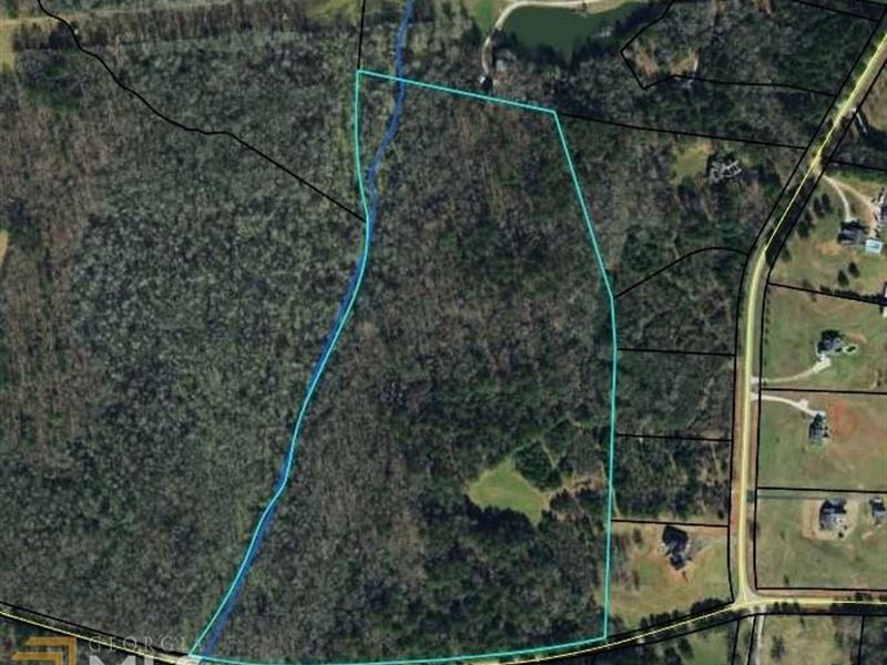 38 Acres Mostly Wooded Land Land for Sale in Covington, Walton County