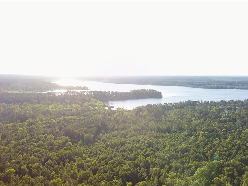 8.37 Acres Lake Sam Rayburn Land Land for Sale in Lufkin, Angelina