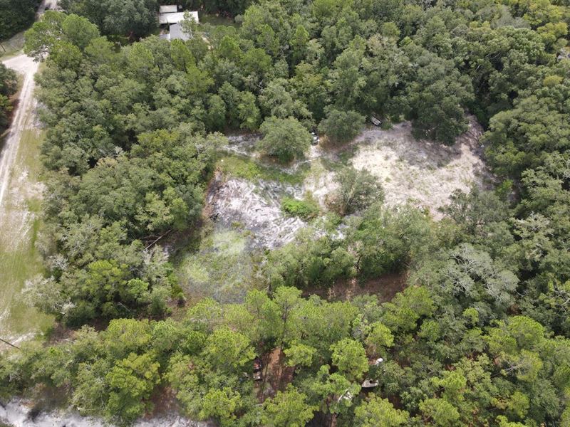 Arrowhead Homesite : Perry : Taylor County : Florida