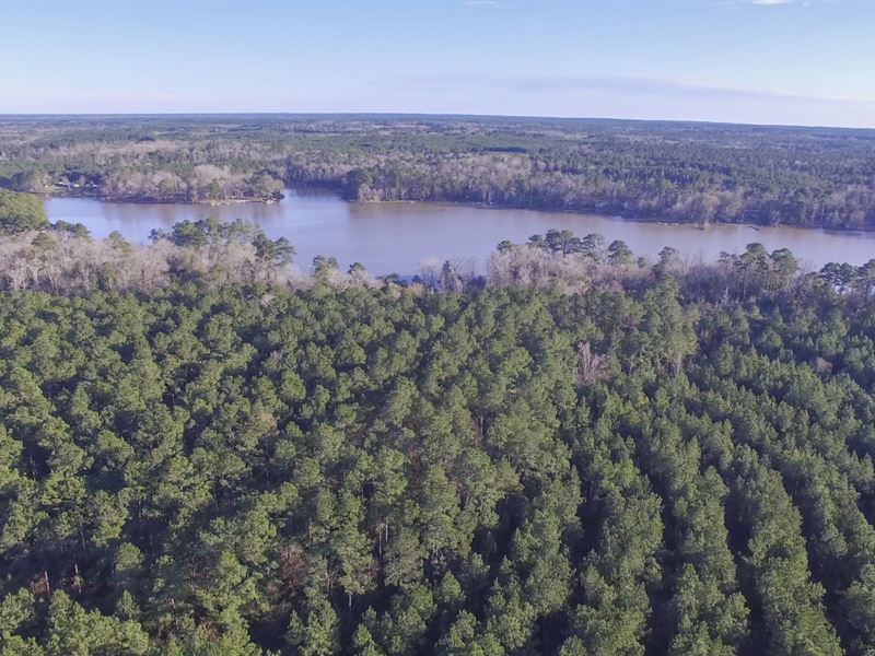 13 Ac Cr 3170 T-21 : Colmesneil : Tyler County : Texas