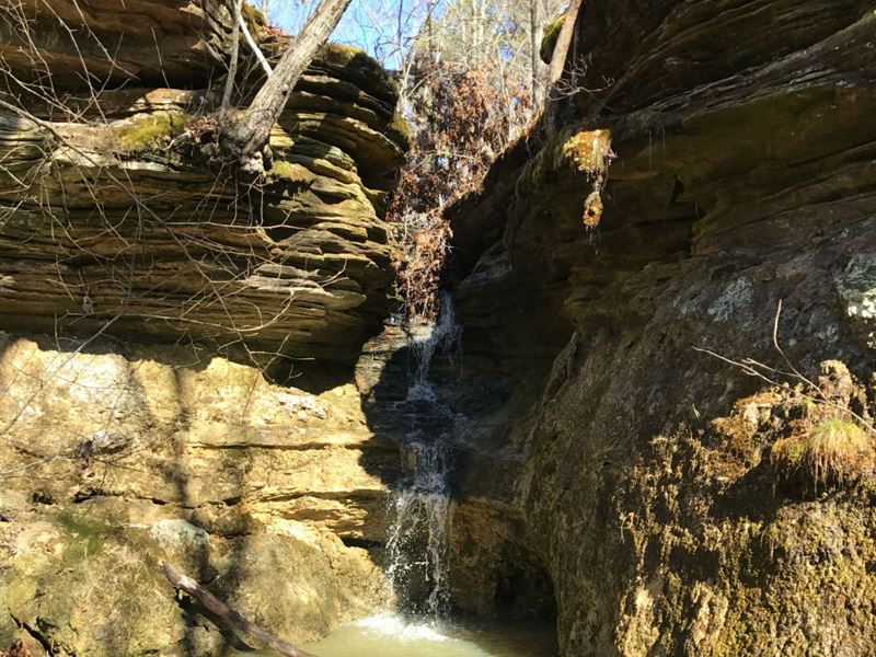 8 Acres with Waterfall and Timber : Ava : Douglas County : Missouri