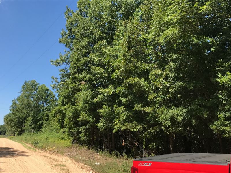 10 Acres with Power in Hartville : Hartville : Wright County : Missouri