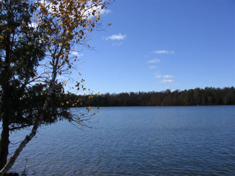 Perfect Lot On 3 Lake Chain : Winchester : Vilas County : Wisconsin