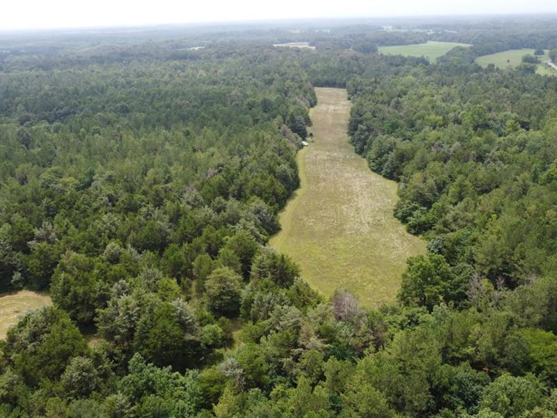 Crawford 256 : Crawford : Lowndes County : Mississippi