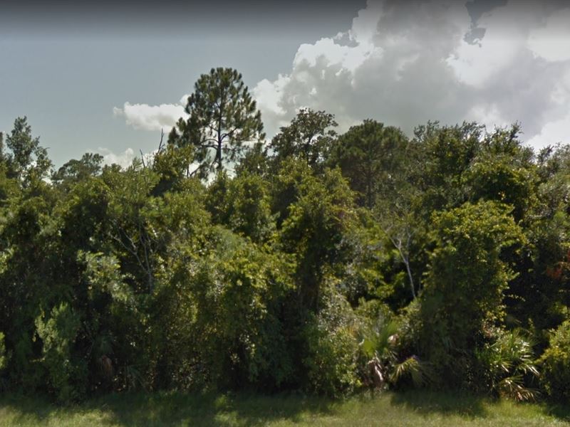 Brevard County, Fl 8,500 Land for Sale in Port St John, Brevard